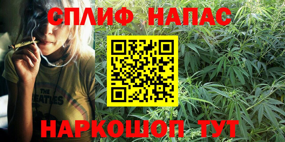 Конопля SATIVA & INDICA Фрязино